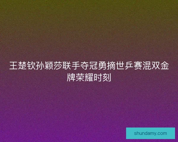 王楚钦孙颖莎联手夺冠勇摘世乒赛混双金牌荣耀时刻