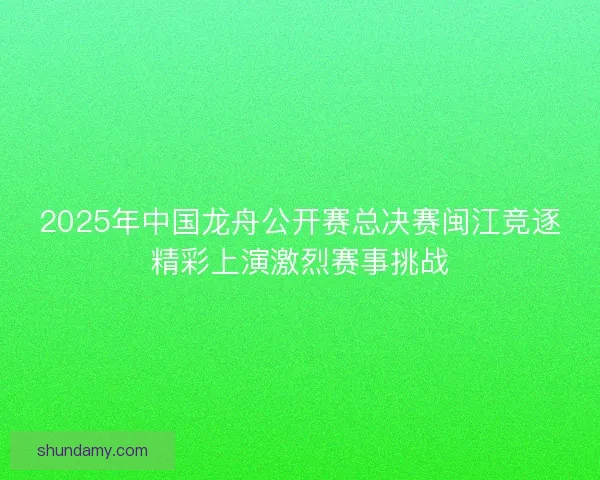 2025年中国龙舟公开赛总决赛闽江竞逐精彩上演激烈赛事挑战